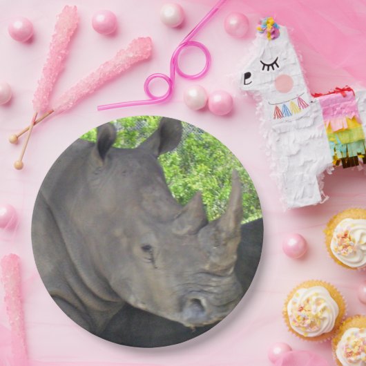 Rhinos Gesicht Pappteller (Party)