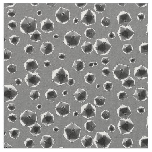 Rhinovirus Grau Stoff (Nahaufnahme)