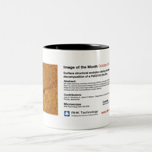 RHK IOM im Oktober 2012 Zweifarbige Tasse (Mittel)