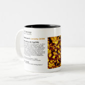 RHK Technologie - Januar 2008 Bild der Zweifarbige Tasse (Vorderseite Links)