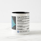 RHK Technologie - Juni 2010 IOM Kaffee-Tasse Zweifarbige Tasse (Mittel)