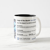 RHK Technologie - Kaffee-Tasse Sept. 2009 IOM Zweifarbige Tasse (VorderseiteRechts)