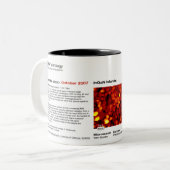 RHK Technologie - Oktober 2007 Bild des Monats Zweifarbige Tasse (Vorderseite Links)