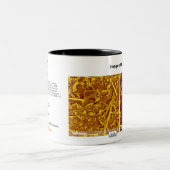 RHK Technologie - Oktober 2008 Bild des Monats Zweifarbige Tasse (Mittel)