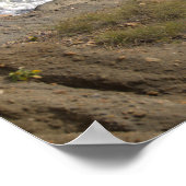 Rhode Island Cliffside Waterscape Poster (Ecke)