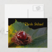Rhode Island, Herbstleaf mit Nut Postcard Postkarte (Vorne/Hinten)