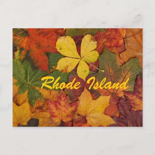 Rhode Island Herbstleaves Postkarte (Vorderseite)