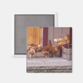 Rhode Island Magnet (Vorderseite/Rückseite)