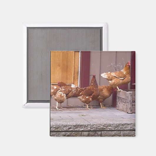 Rhode Island Magnet (Vorderseite/Rückseite)