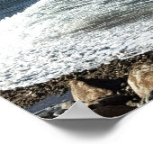 Rhode Island Ocean Waterscape Poster (Ecke)