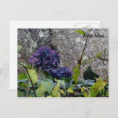 Rhode Island Postcard Postkarte (Vorne/Hinten)