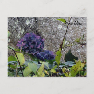 Rhode Island Postcard Postkarte