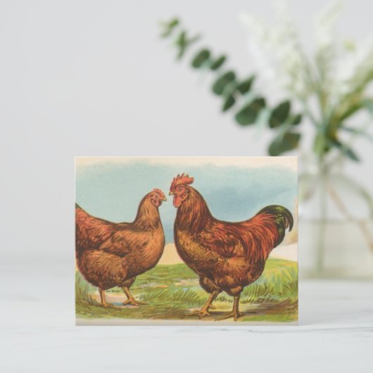 Rhode Island Postkarte (Stehend Vorderseite)