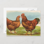 Rhode Island Postkarte (Vorne/Hinten)