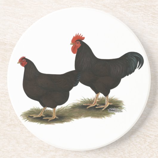 Rhode Island Red Bantams Getränkeuntersetzer (Vorne)