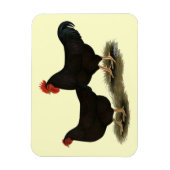 Rhode Island Red Bantams Magnet (Vertikal)