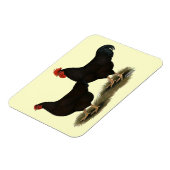 Rhode Island Red Bantams Magnet (Linke Seite)