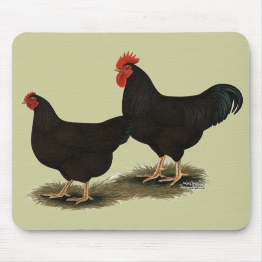 Rhode Island Red Bantams Mousepad (Vorne)