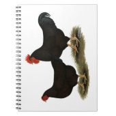 Rhode Island Red Bantams Notizblock (Vorderseite)