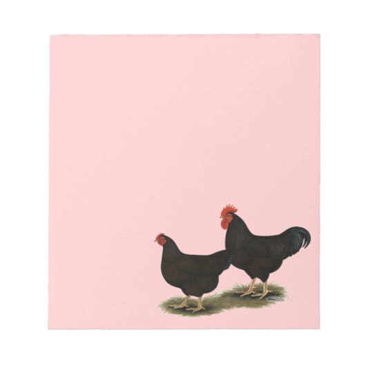 Rhode Island Red Bantams Notizblock (Vorderseite)