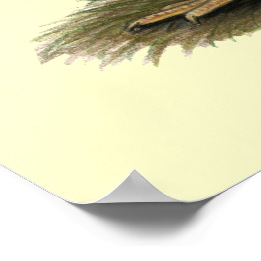 Rhode Island Red Bantams Poster (Ecke)