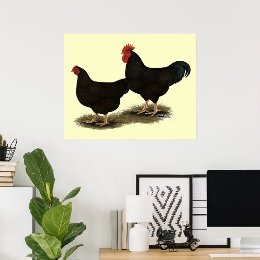 Rhode Island Red Bantams Poster (Heimbüro)