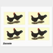 Rhode Island Red Bantams Rechteckiger Aufkleber (Blatt)