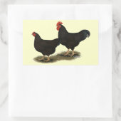 Rhode Island Red Bantams Rechteckiger Aufkleber (Tasche)