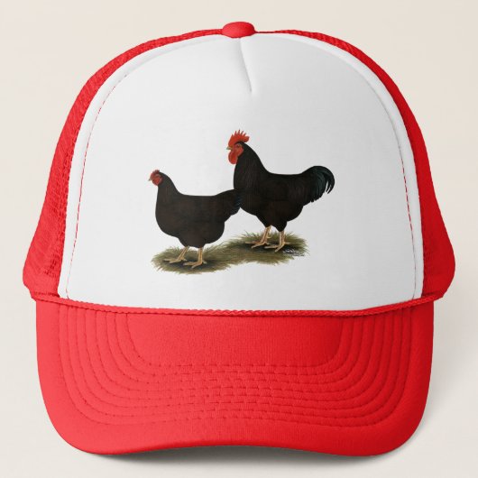 Rhode Island Red Bantams Truckerkappe (Vorderseite)