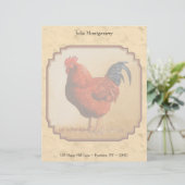 Rhode Island Red Chicken Beige Briefkopf (Stehend Vorderseite)