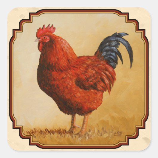 Rhode Island Red Chicken Beige Quadratischer Aufkleber (Vorderseite)
