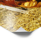 Rhode Island Red Hahn Fotodruck (Ecke)
