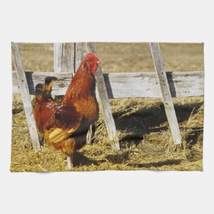 Rhode Island Red Hahn Küchentuch