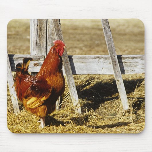 Rhode Island Red Hahn Mousepad (Vorne)