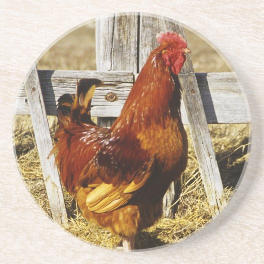 Rhode Island Red Hahn Sandstein Untersetzer (Vorne)