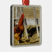 Rhode Island Red Hahn Silbernes Ornament (Rechts)