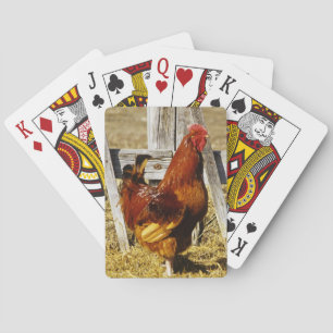 Rhode Island Red Hahn Spielkarten