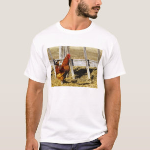 Rhode Island Red Hahn T-Shirt