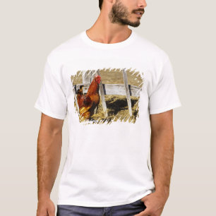 Rhode Island Red Hahn T-Shirt