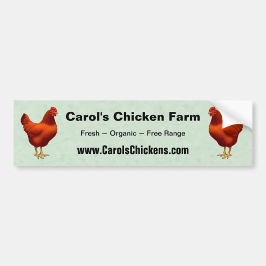 Rhode Island Red Hen Autoaufkleber (Vorne)