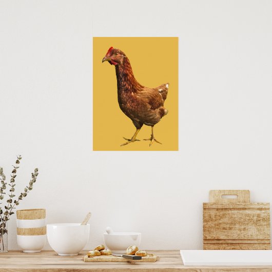 Rhode Island Red Hen Chicken Poster (Küche)