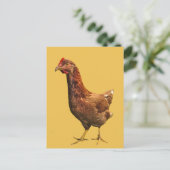 Rhode Island Red Hen Chicken Postkarte (Stehend Vorderseite)