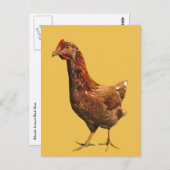 Rhode Island Red Hen Chicken Postkarte (Vorne/Hinten)