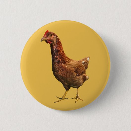 Rhode Island Red Hen Hühnerknopf Button (Vorderseite)