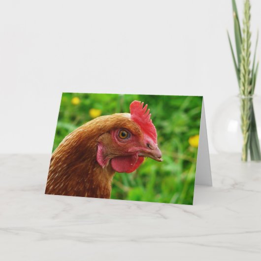 Rhode Island Red Hen Karte (Vorderseite)