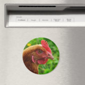 Rhode Island Red Hen Magnet (In Situ (Geschirrspüler))