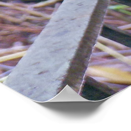 Rhode Island Red Hen Poster (Ecke)