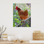 Rhode Island Red Hen Poster (Küche)