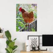 Rhode Island Red Hen Poster (Heimbüro)
