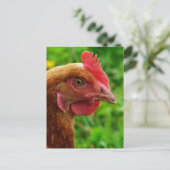 Rhode Island Red Hen Postkarte (Stehend Vorderseite)